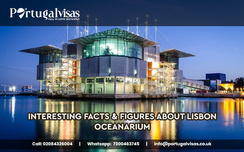 History of Lisbon Oceanarium